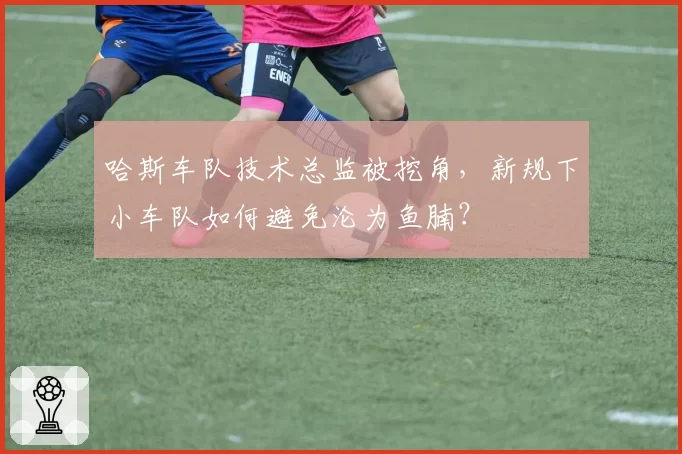 哈斯车队技术总监被挖角,新规下小车队如何避免沦为鱼腩?