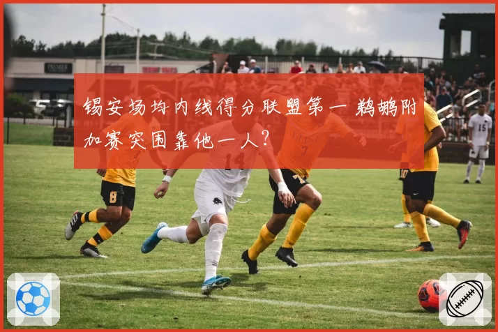 锡安场均内线得分联盟第一 鹈鹕附加赛突围靠他一人？
